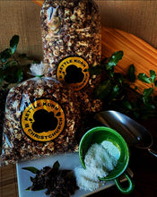 Load image into Gallery viewer, Kettle Korn Christchurch Choccy Rough chocolate popcorn kettle corn in Small and Large bags.